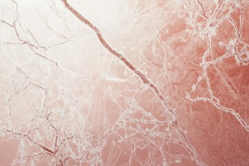 Fototapeta premium Frost-covered branches and spiderwebs create a delicate, wintery scene.