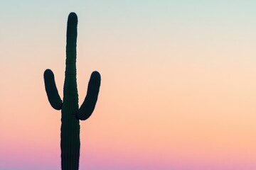 Silhouette of a saguaro cactus against a vibrant, pastel sunset sky.