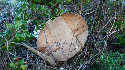 Environmental pollution, things abandoned on the street, environmental problems, the importance of...