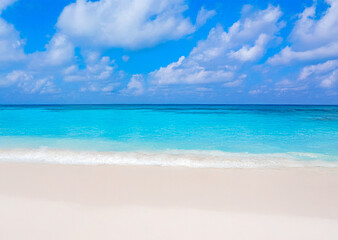 Fototapeta premium A beautiful landscape of a beach with clear blue water and white sand