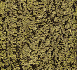 Vector illustration of a close-up of cork tree bark. Cork tree or Phellodendron sachalinense in Latin

