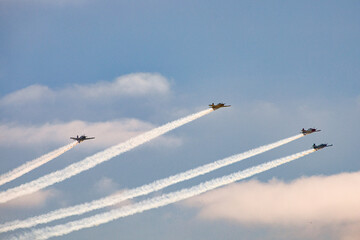 Vintage Airplanes in Flight