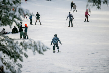 Alpine downhill ski slope in forest part of the track. People learning how to leisure ski and...
