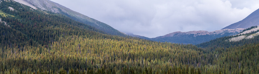 
Panorama of mountain landscape with patches of light on trees sky filled with gray clouds
