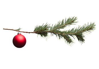 Red Ornament Hanging on Pine Branch Isolated on Gray Background