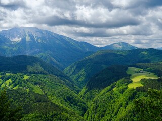 Mt. Otscher (1893m), Nature Park Otscher-Tormaeuer in the Alps of Lower Austria.