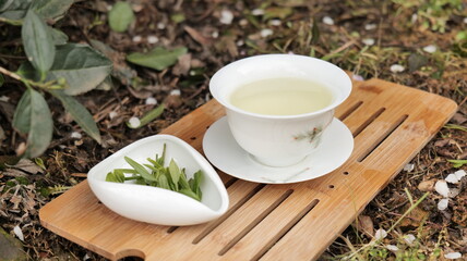 Chinese teapot and cups with longjing tea , Hangzhou China. . High quality photo
