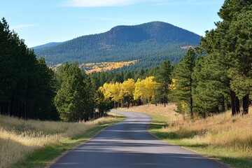Fototapeta premium A winding road meanders through a picturesque forest filled with green pine trees and patches of golden autumn foliage. The landscape features distant mountains and bright blue skies