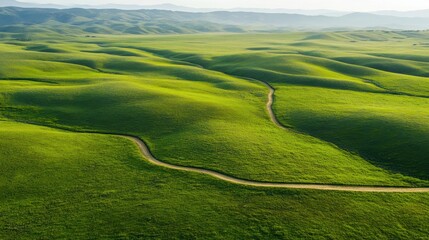Obraz premium Aerial View of a Green Field with Winding Path