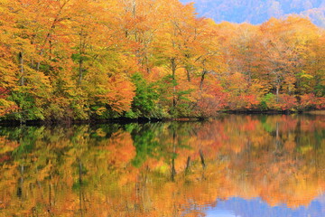 autumn landscape with lake