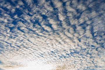 Beautiful cloud formation in a clear blue sky during sunset