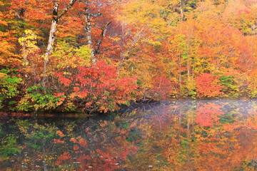 autumn landscape with lake