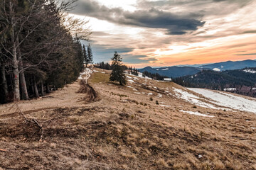 Landscapes - Forest - Europe, Romania, Suceava region 