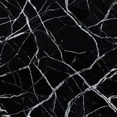 Texture of black marble with white veins