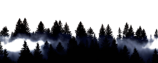 silhouette of dark foggy forest isolated