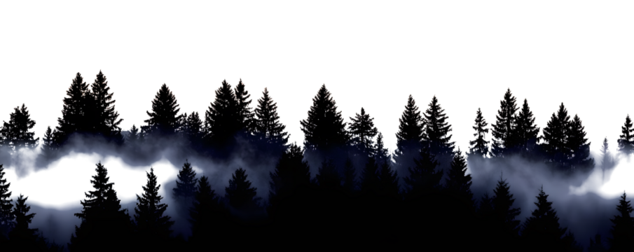 silhouette of dark foggy forest isolated