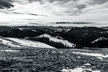 Landscapes - Forest - Europe, Romania, Suceava region 