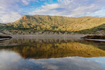 Fototapeta premium Tranquil reflection of a lush hillside on a calm coastal water. Perfect for nature lovers. Bethells Beach, Auckland, New Zealand