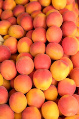 Munich, Germany. Farmers market. Apricots