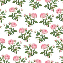 watercolor seamless pattern with flowers. vintage botanical pattern. flower floral pattern. botanical art. floral botanical.. watercolor botanical design. watercolor botanical,