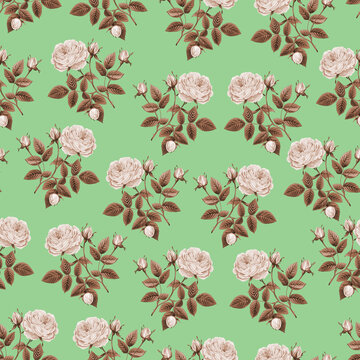 watercolor seamless pattern with flowers. vintage botanical pattern. flower floral pattern. botanical art. floral botanical.. watercolor botanical design. watercolor botanical,