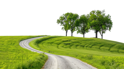 A winding rural road through a green field with trees, isolated on white background