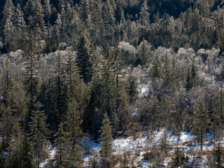 Landscape during winter at river Isar between Vorderriss and Wallgau in the Karwendel mountain range. One of the last remaining natural riverscapes in the German Alps. Germany, Bavaria.