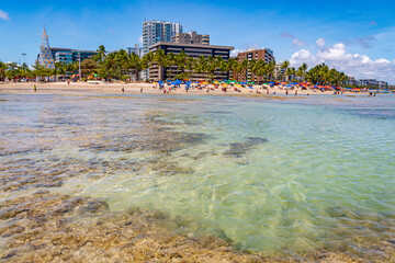 tropical beach in northeastern Brazil in the state of Alagoas, city of Maceio, Ponta Verde beach