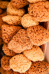 Greece. Dried, natural Greek sea sponges