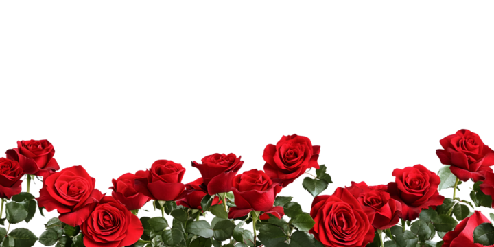 Red roses frame border for text and design with copy space, isolated on a transparent background. PNG cutout or clipping path. - Powered by Adobe