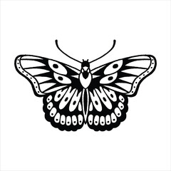 butterfly vector black white illustration