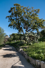In north of Neapolis Archaeological Park is Paradise stone quarry (Latomia del Paradiso). Today it is a beautiful garden with Mediterranean vegetation and numerous caves. Syracuse, Sicily, Italy.