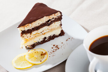 Slice of tasty sponge cake in chocolate icing with delicate lemon layer..