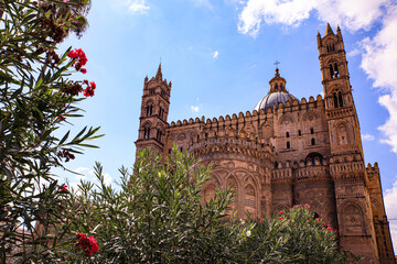 Palermo, Sicily, Cattedrale di Palermo, bougainvillea
