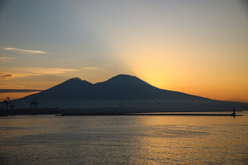 Fototapeta premium Naples, Italy. Mount Vesuvius at a golden sunrise with a seagull over the Bay of Naples