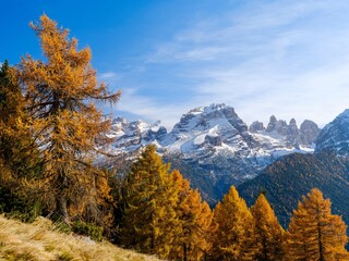 Cima Brenta. View of the Dolomiti di Brenta from Val Rendena in the Parco Naturale Adamello Brenta, part of UNESCO World Heritage Site. Dolomites, in the province of Trentino in Italy.
