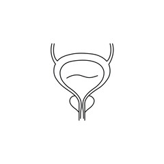 Prostate and urinary bladder, Prostate editable stroke outline icon isolated on white background