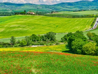 Italy, Tuscany. View of long rows of cypress trees and villa