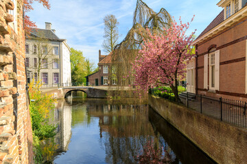 Netherlands, Holland. Spring time reflections along the canals.
