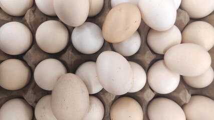 White chicken eggs arranged neatly in a cardboard carton, ready for sale at a supermarket, showcasing their freshness and suitability for cooking or baking.