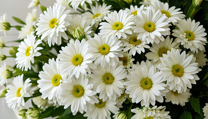 Fototapeta premium Bouquet de marguerites éclatantes