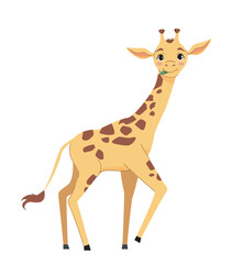 Fototapeta premium A cheerful giraffe standing upright, with a bright expression and a leaf in its mouth, on a white background. Concept of wildlife, animals, and nature. Vector illustration