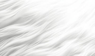 Obraz premium White Fluffy Cotton Fiber Texture Background