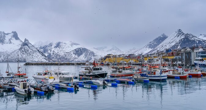 Village Husoy in Oyfjorden. The Senja island during winter in the north of Norway.