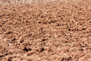 A field of dirt with a few small rocks scattered throughout