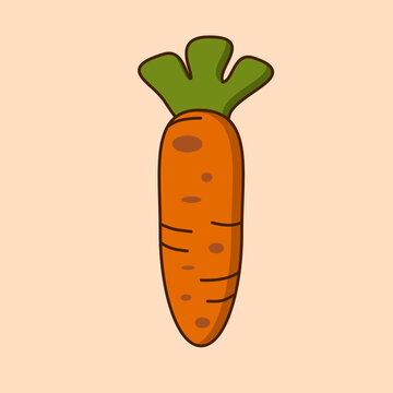 recommend clip art: Fresh Orange Carrot Vegetable Illustration Graphic