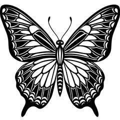 Cute Silhouette of a Butterfly line art vector cartoon illustration