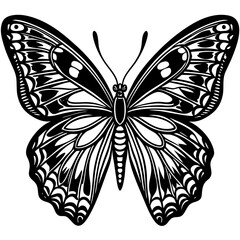 Cute Silhouette of a Butterfly line art vector cartoon illustration