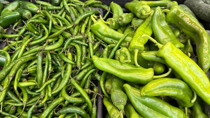 Vegetables are found in the Indian market located in Plano, Dallas, Texas, USA.