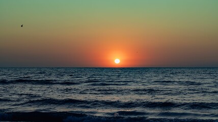 Serene ocean sunset with vibrant sky and lone bird.